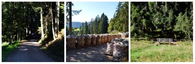 Lake Titisee Black Forest Day Trip, Black Forest hiking tour