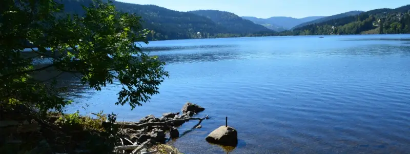 Lake Titisee Black Forest Day Trip, View of scenic Lake Titisee Black Forest